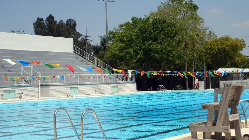 Featured image of post 2025 GTSA TYR Swim Classic (Pumpkin Meet)