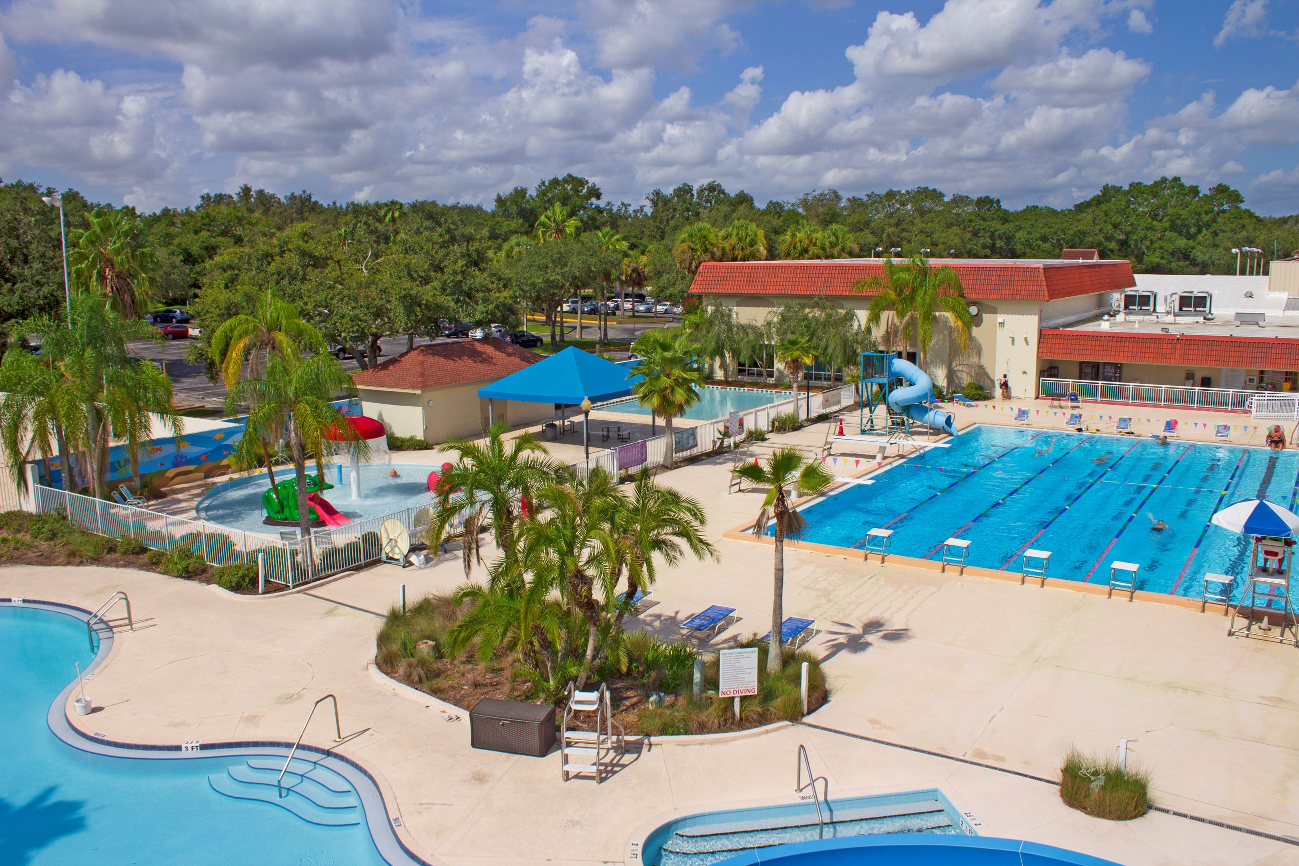 Featured image of post 2025 STA/TEAM Veterans Day Open